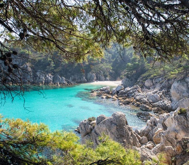 Traditionelles Appartement ATHOS SHADOW am Meer - Housity