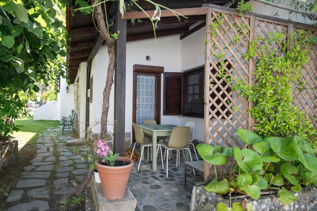Traditionelles Appartement ATHOS SHADOW am Meer - Housity