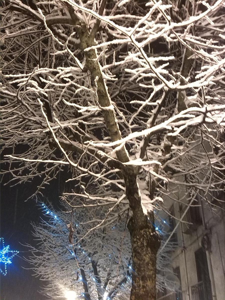 Bed & Breakfast La dodicesima Notte - Housity