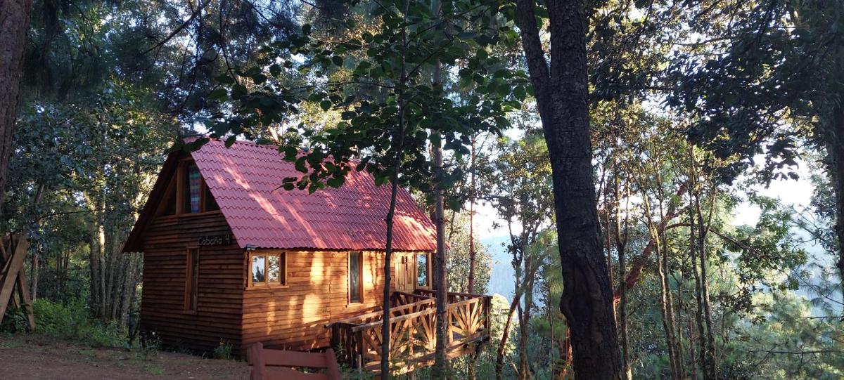 Cabaña en el Bosque de San José del Pacífico 4 - Housity