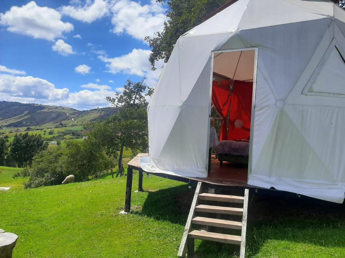 Glamping Mi Casita - Housity