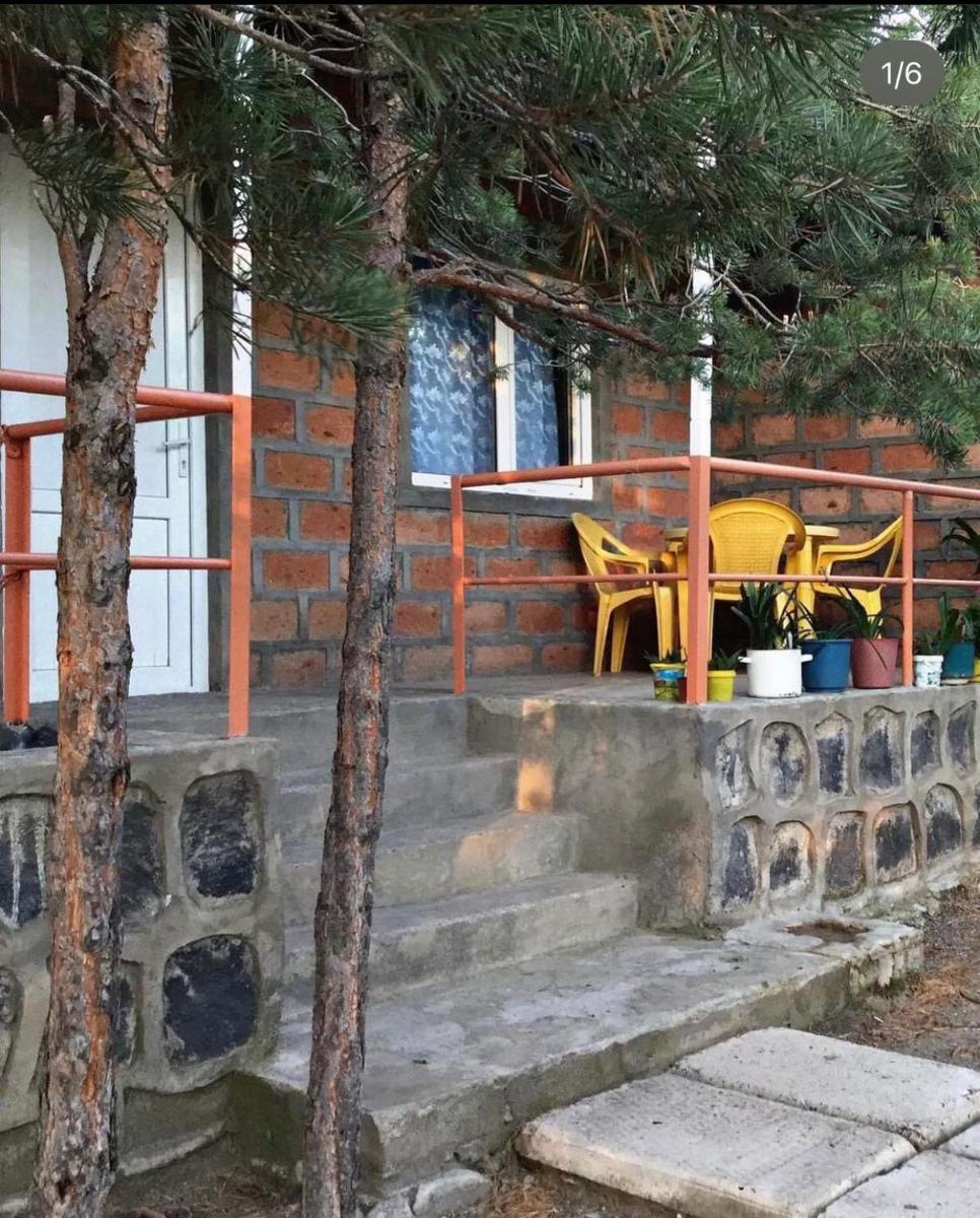 Poqrik Ani - Housity