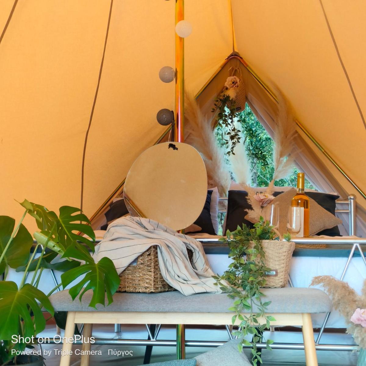 Olympia Sunset Glamp - Housity