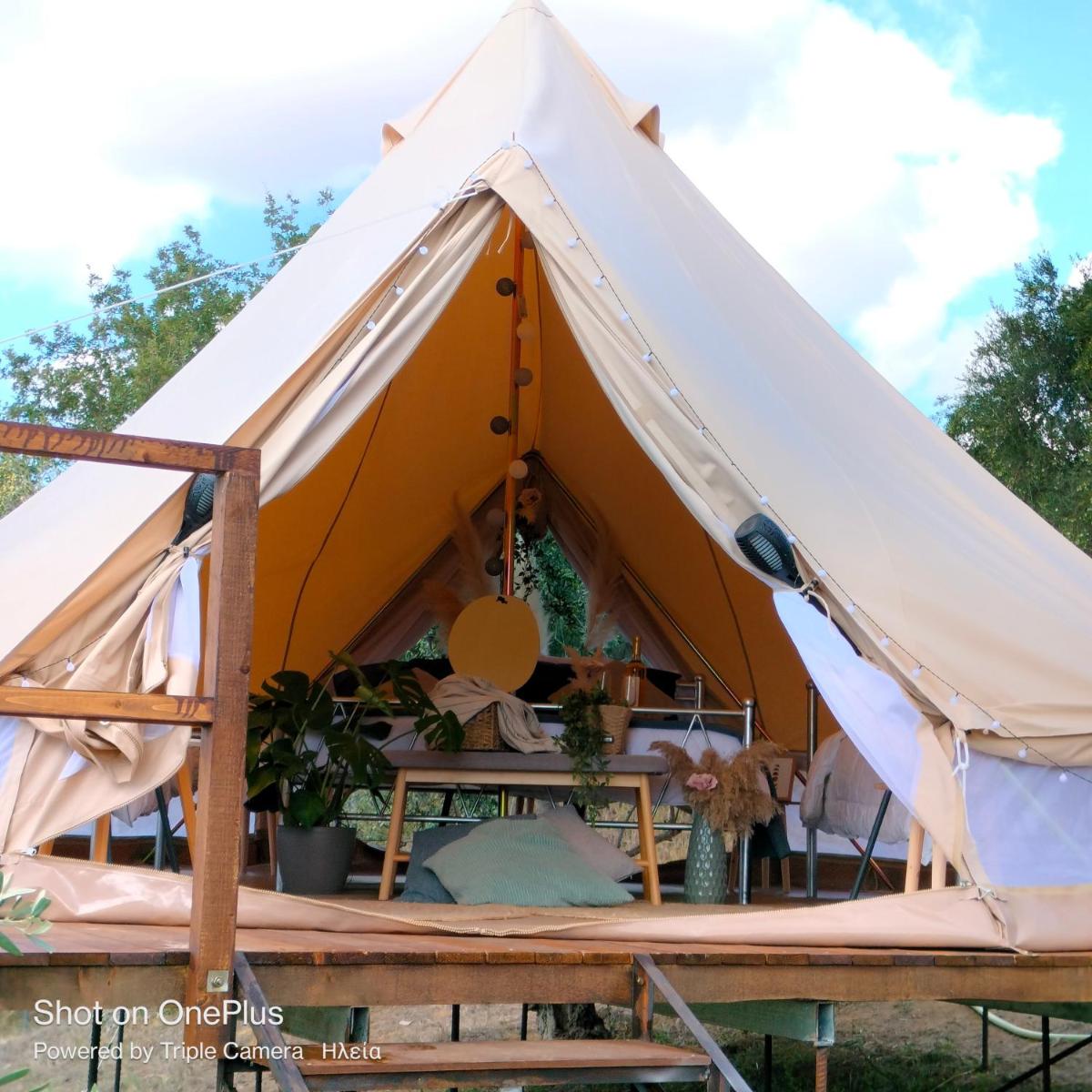Olympia Sunset Glamp - Housity