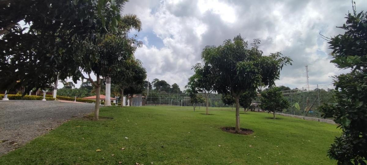 Hotel Confort Cafetero - Housity