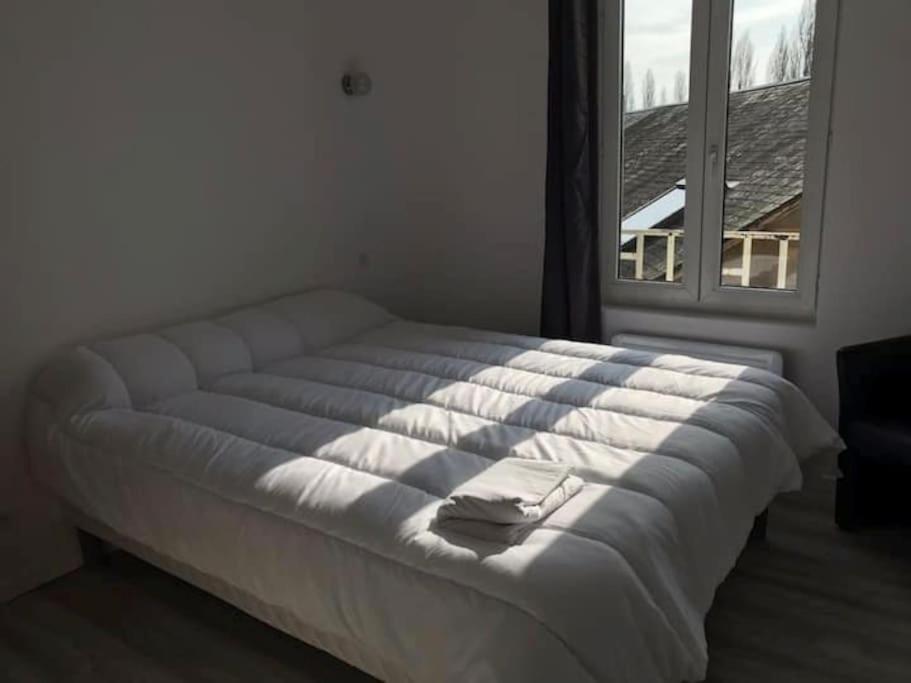 Suitetrails - Appartement 10 pers face gare SNCF Appart Hotel le Cygne A