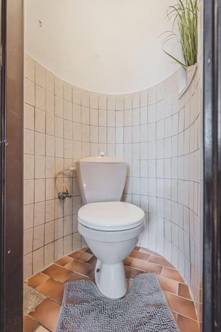 Carolina's Romantic Apartment - Housity