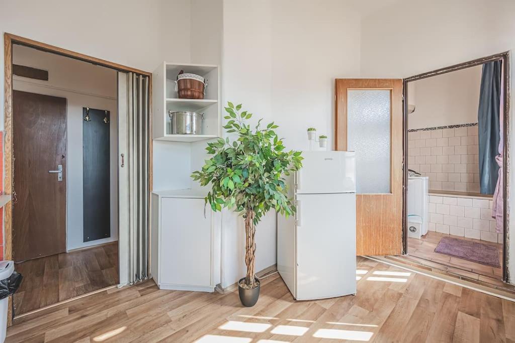 Carolina's Romantic Apartment - Housity
