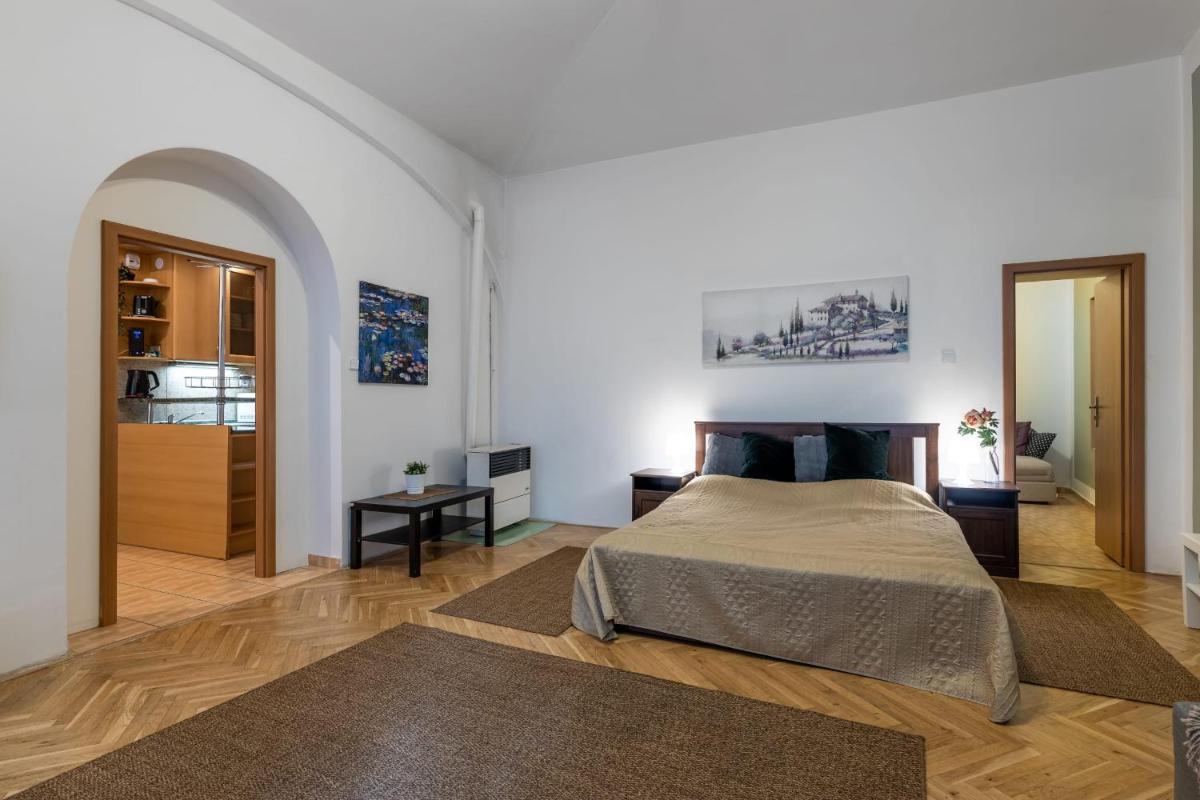 Spacious 3 bedroom apartment in the Heart of Prague - Housity