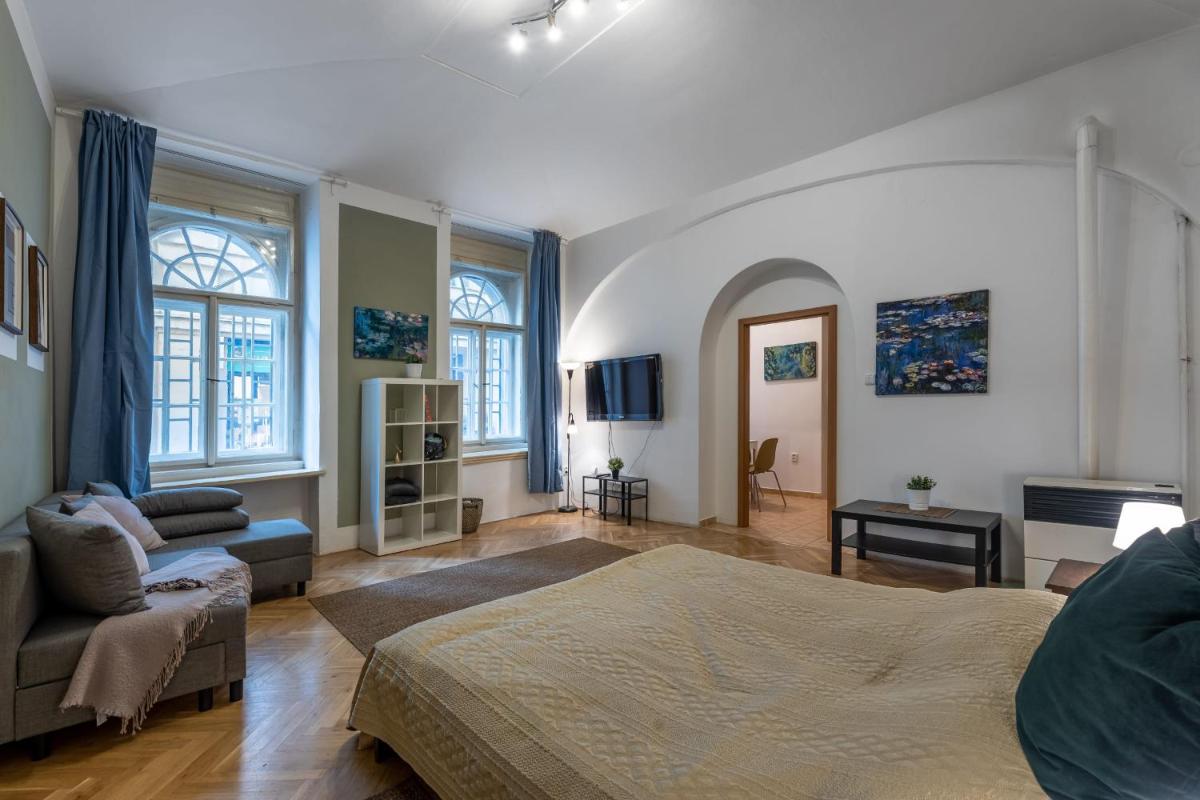 Spacious 3 bedroom apartment in the Heart of Prague - Housity