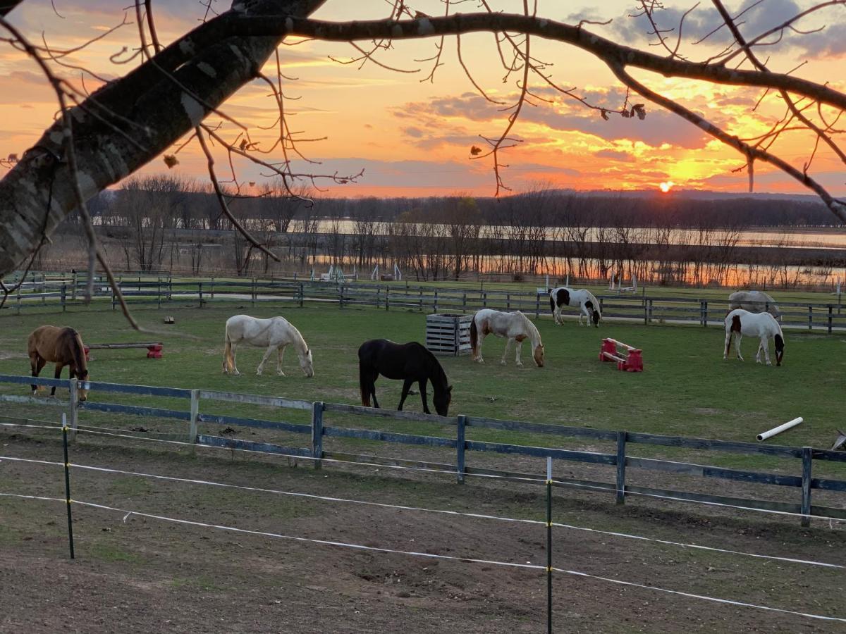 Riverview Ranch and Resort - Housity
