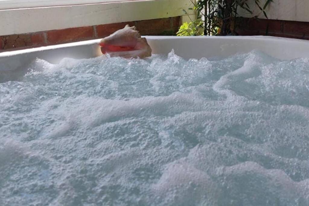 Suitetrails - Casa de Campo JADE SOLARIUM jacuzzi,jardín y mas