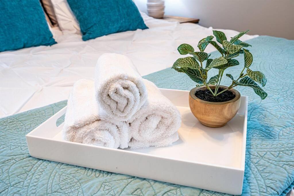 Comfy & Unique ~ Near Downtown ~ 2 Queen Bedrooms - Housity