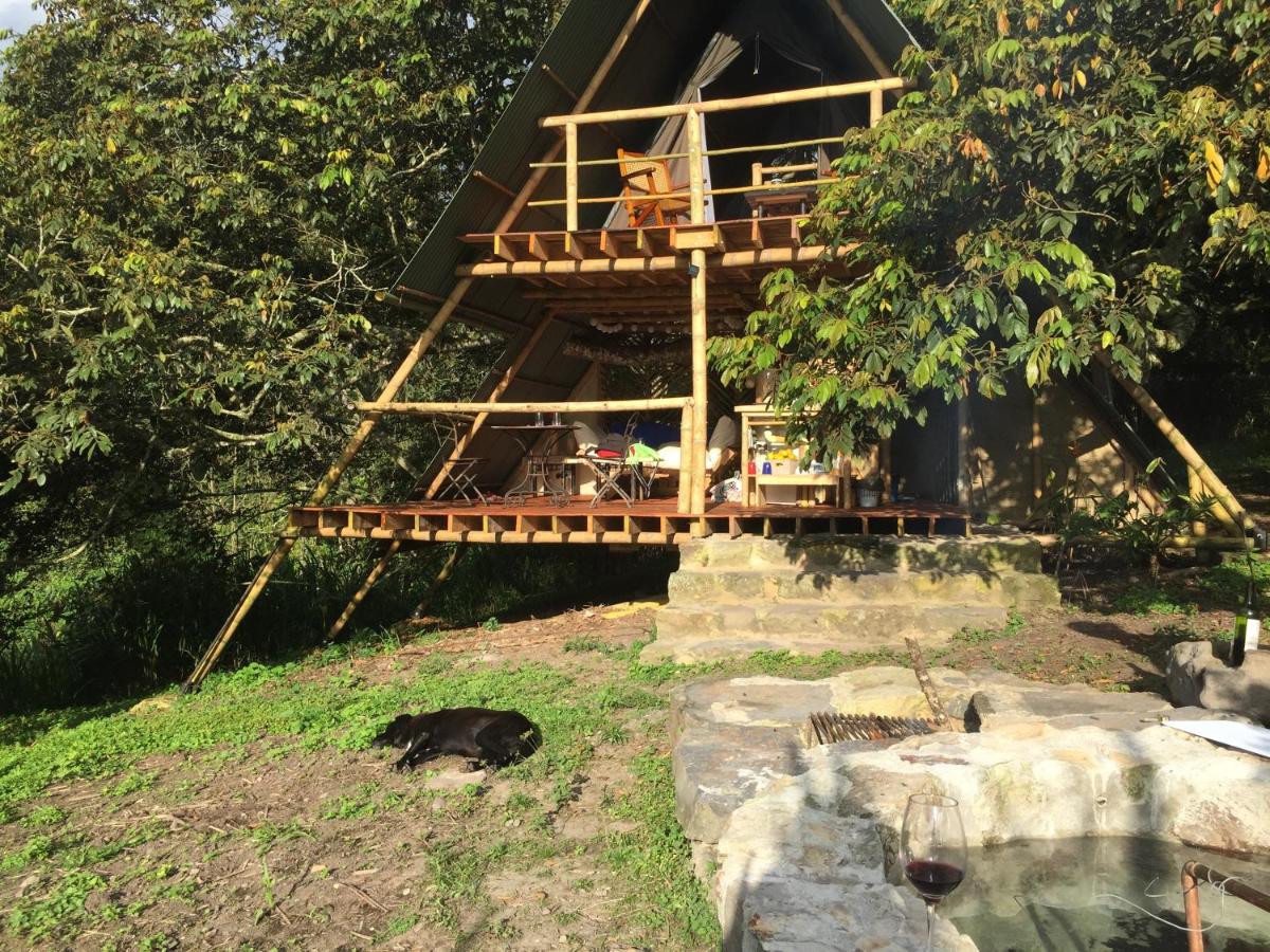 Glamping El Árbol en la Casa - Housity