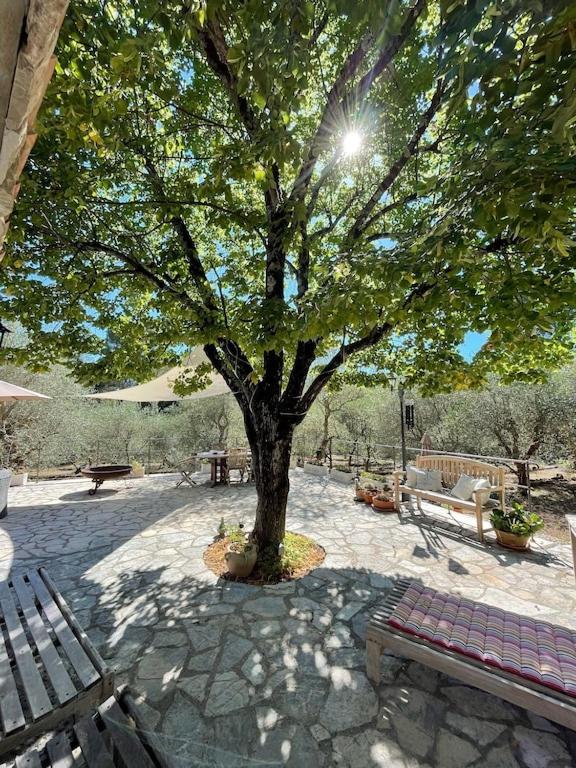 Hidden Gem within a peaceful olive orchard, large oak forest - Housity