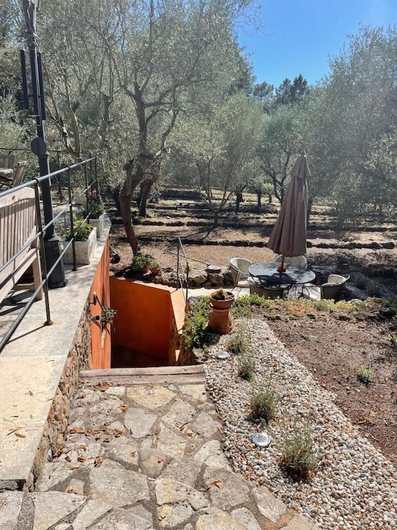 Hidden Gem within a peaceful olive orchard, large oak forest - Housity