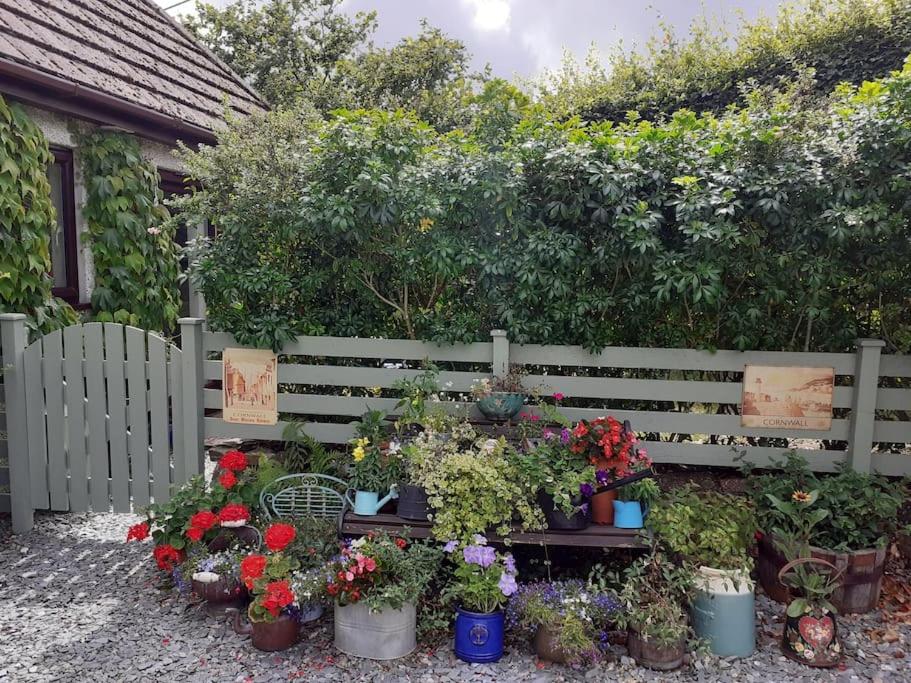 Oakey Orchard - cosy apartment in Tamar Valley, Cornwall - Housity