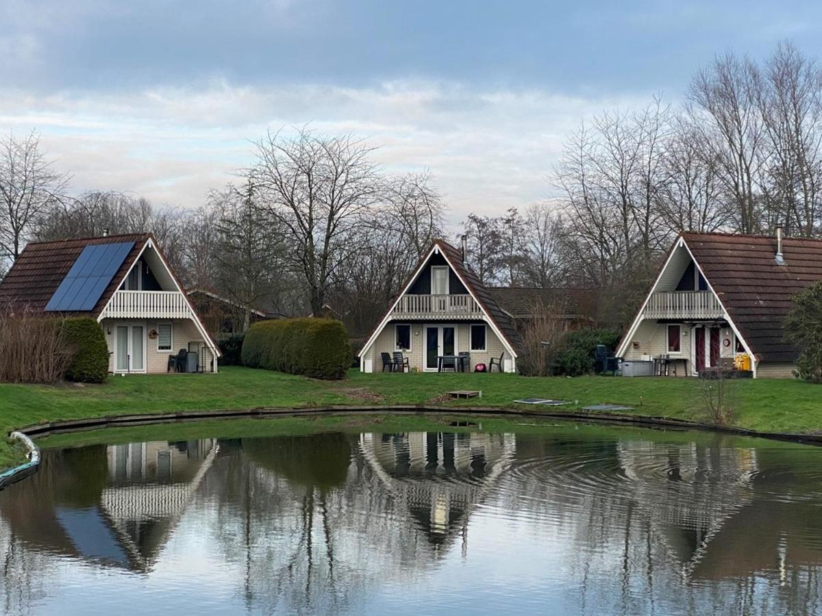 Stijlvol aan de visvijver - Housity