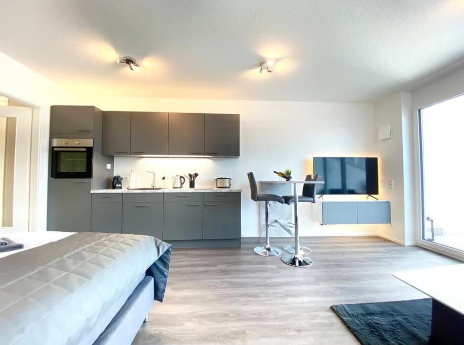 Auszeit Apartment DREAM am Uferpark - nur 100 m bis zum Bodensee, direkt am Bodenseeradweg, Sonnenbalkon, schnelles WLAN, kostenloser Tiefgaragenstellplatz, für bis zu 2 Personen - Housity