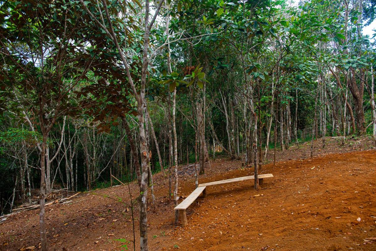 Casa na natureza - Housity