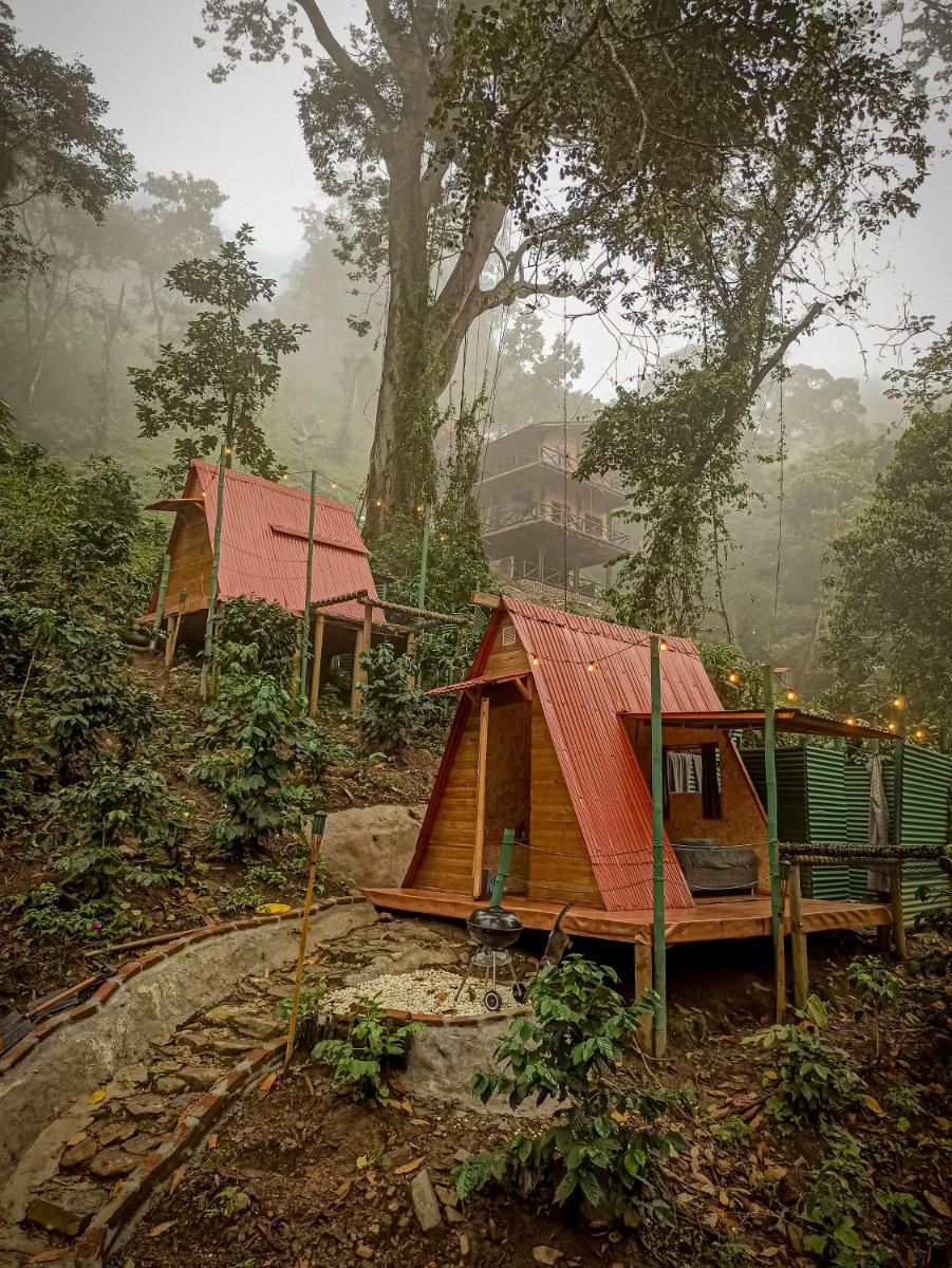 ECO Cabin - TANOA Minca - Housity