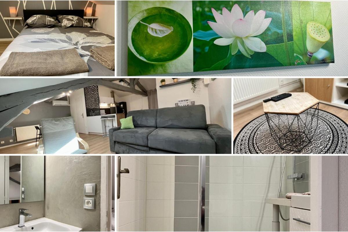 LE MOBILE - Climatisé - Proche de la gare - Centre ville-PROPERTY RENTAL NM - Housity