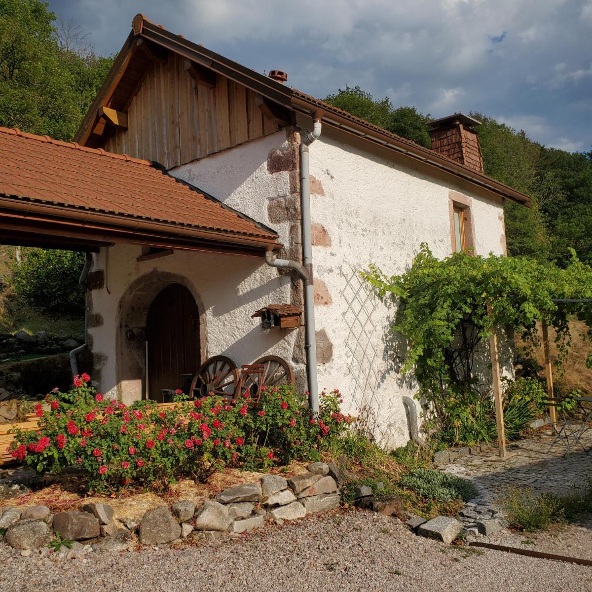 Le Vieux Houx - Housity
