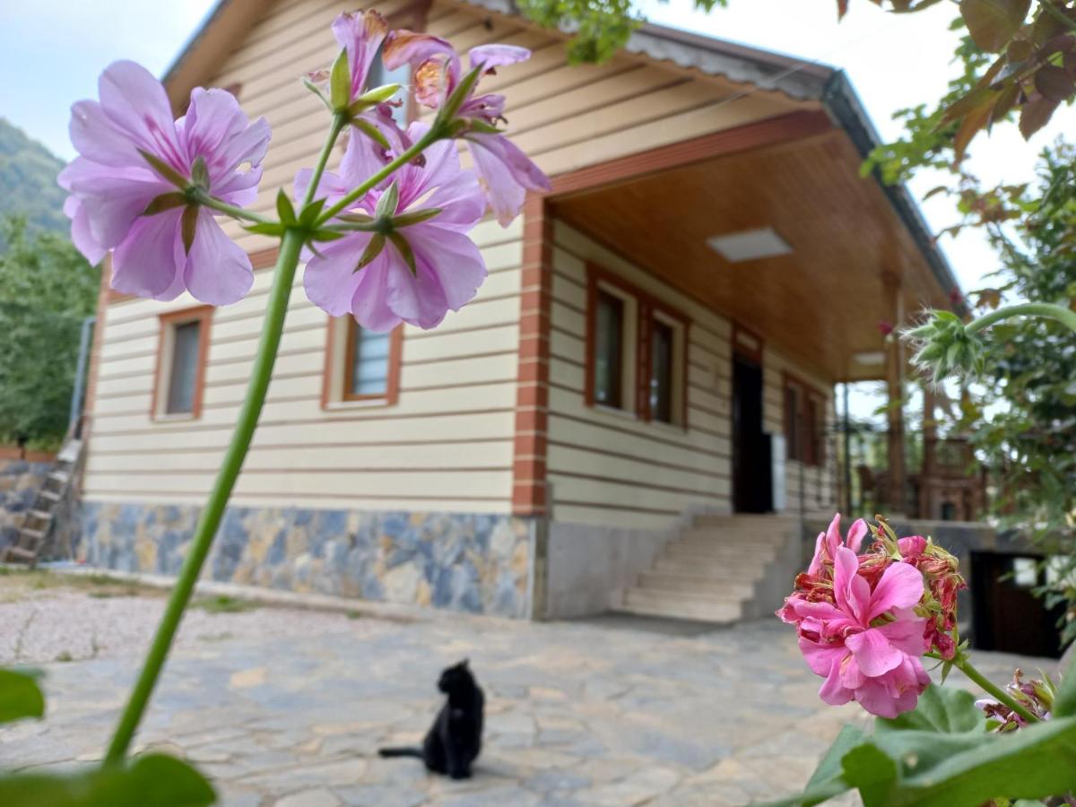 Enjoy cozy mountain house at the foot of Uludağ - Housity