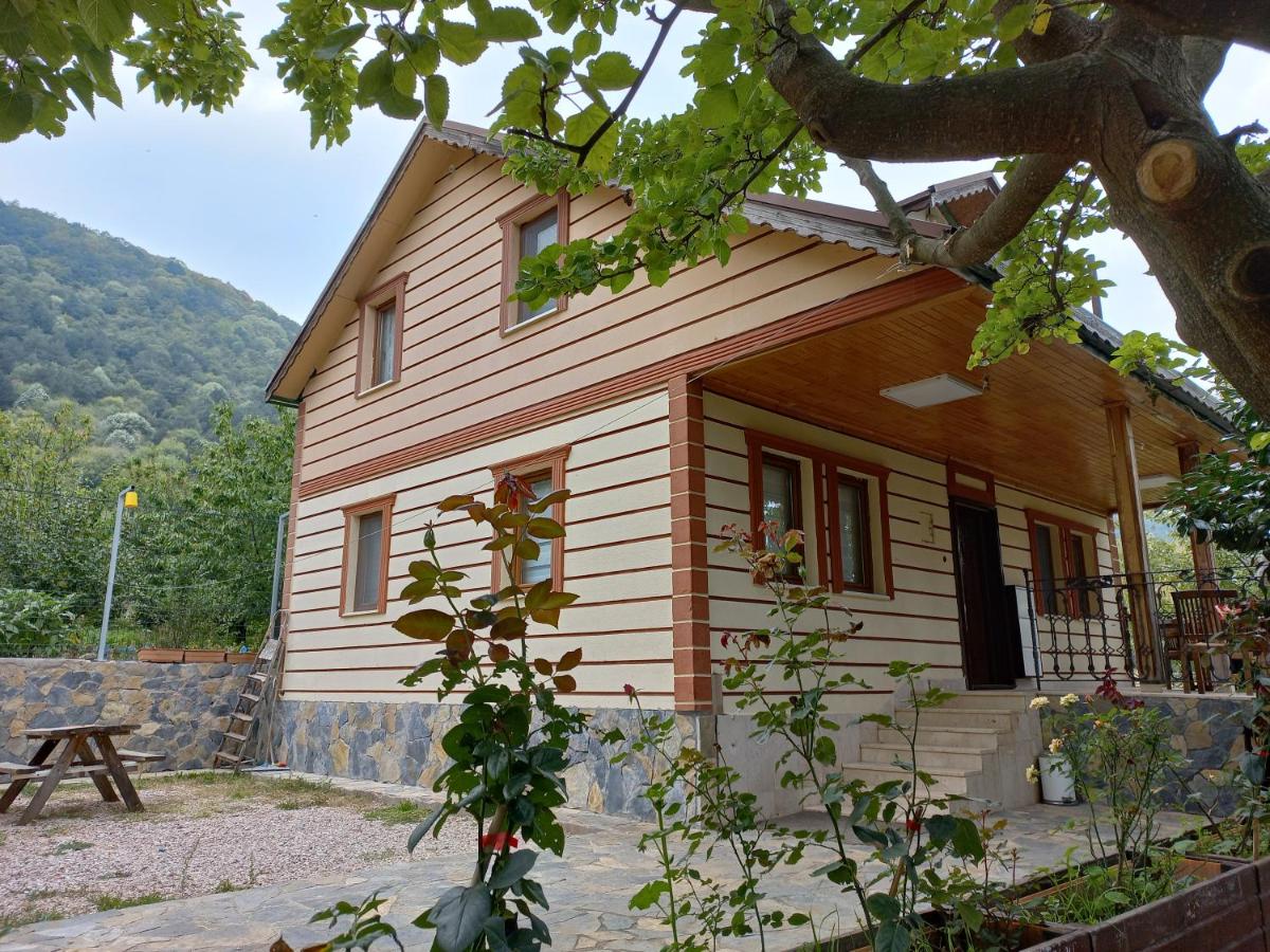 Enjoy cozy mountain house at the foot of Uludağ - Housity