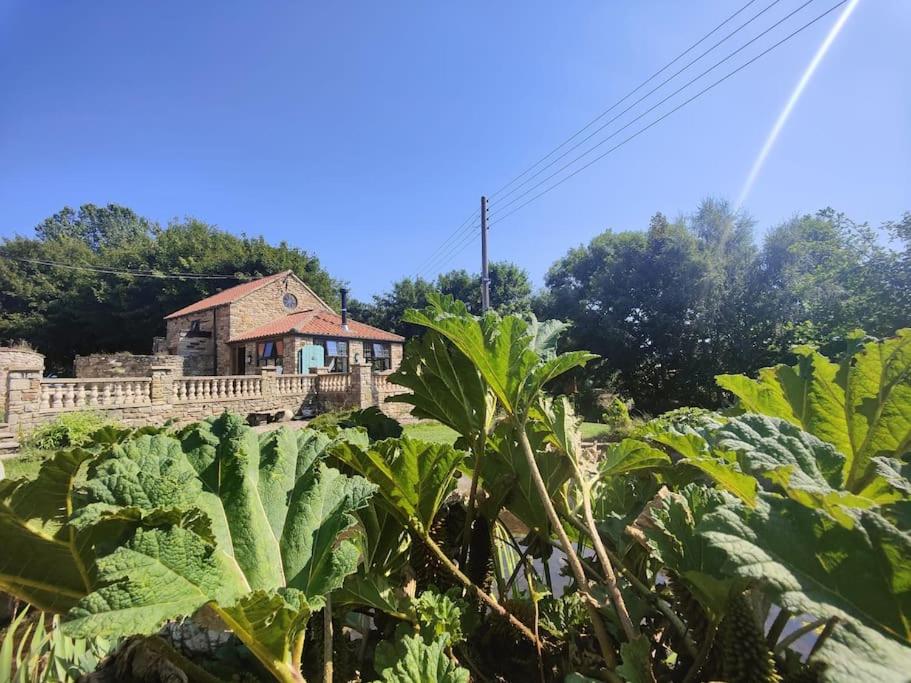 Stunning 2 Bedroom Guest House with Hot Tub - Housity
