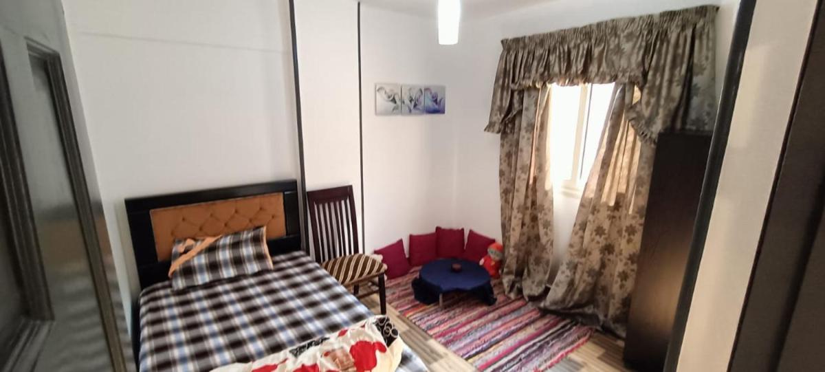 شقه مفروشه فرش فندقي - Housity