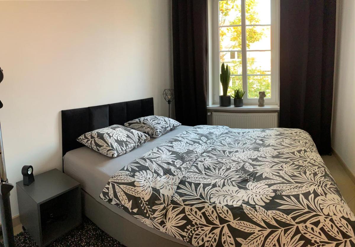POBUUDKA IV Plebańska z widokiem na Rynek - Housity