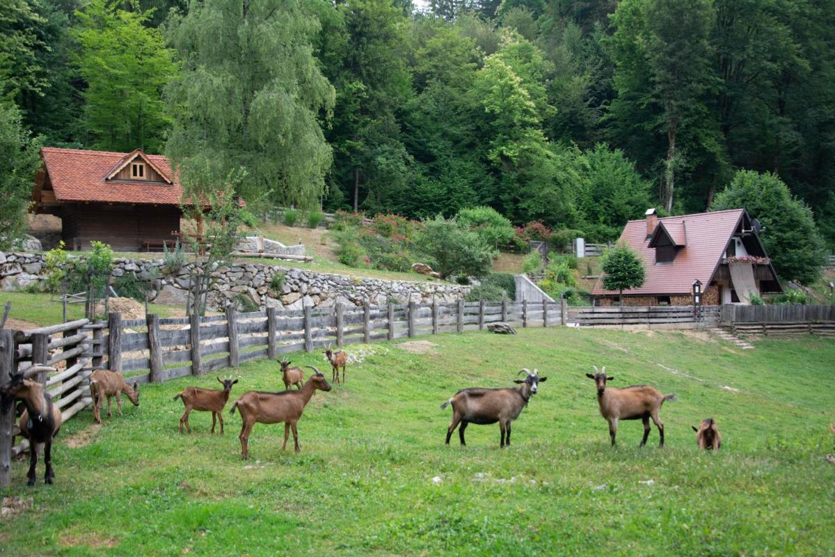 Apartma kašča - Housity