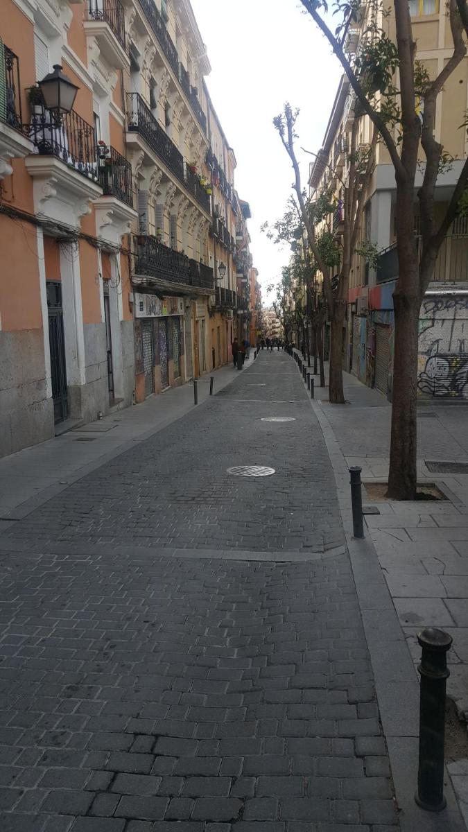 Madrid daily house - Housity