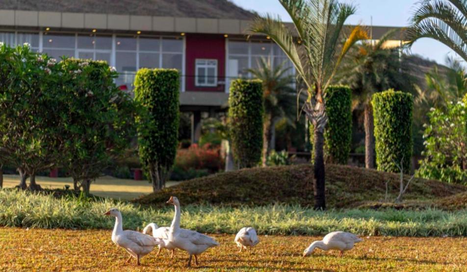 NATURE ELEMENTS NASHIK - Housity