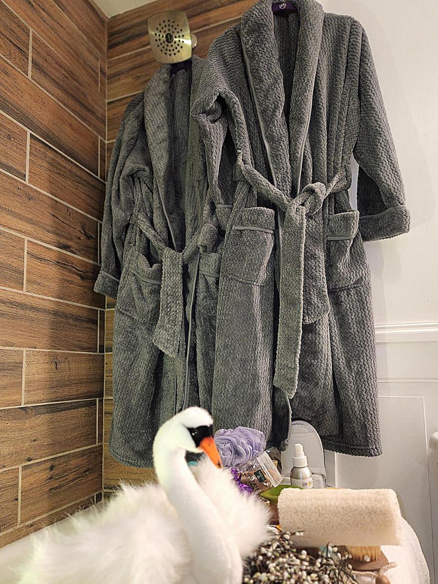 Swansanctuarysuite Apt At sanctuaryoftheswan - Housity