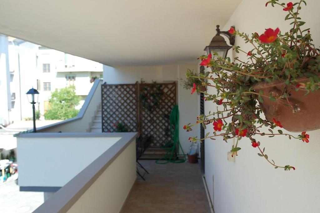 Two rooms on the Tuscan hills just 11 km from the sea price crisis - Housity