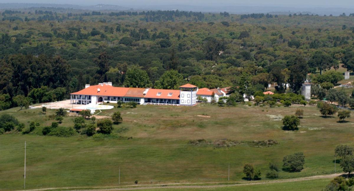 Apartamento das Bolotas. - Housity