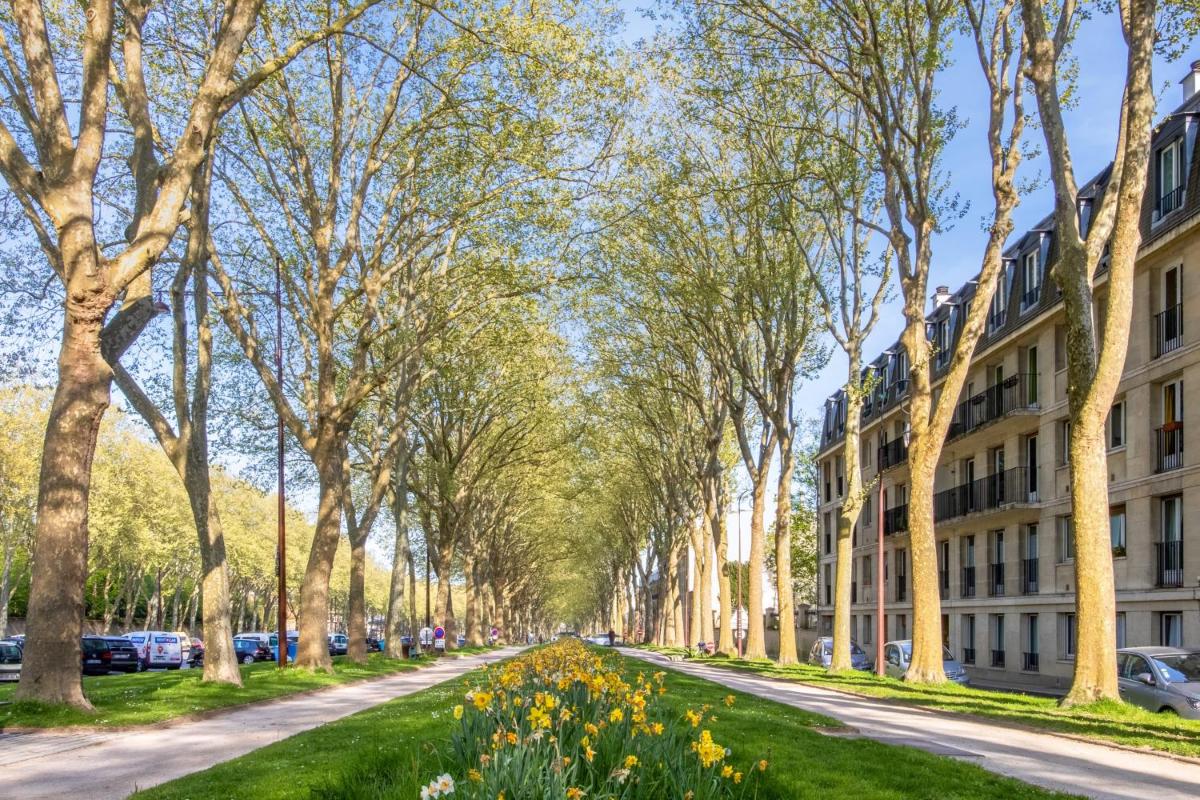 Suitetrails - Beautifully bright apartment near the Château de Versailles - Welkeys