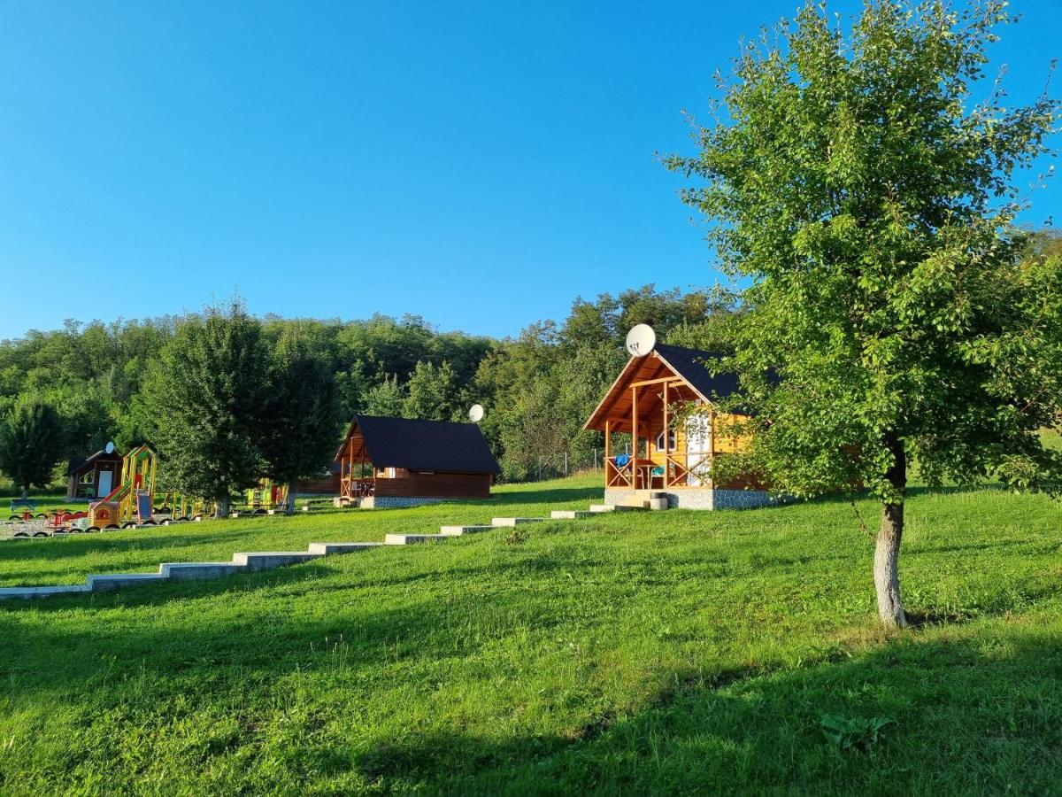 Шафран - Housity