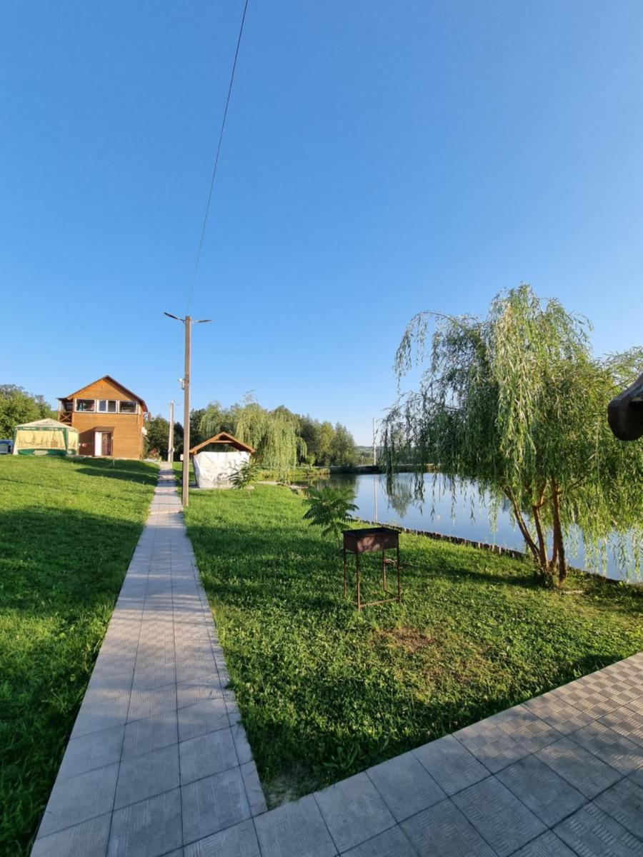 Шафран - Housity