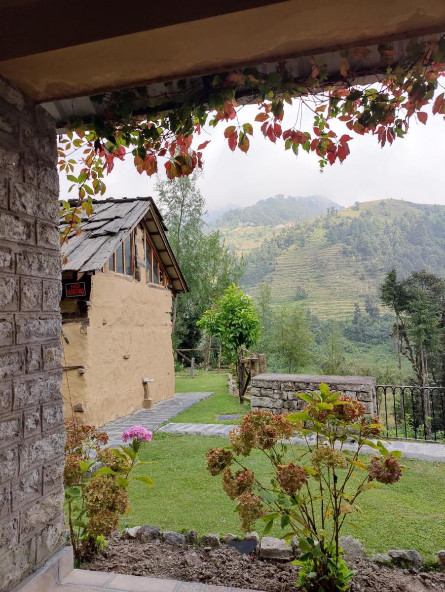 Barei Jungle Lodge - Housity