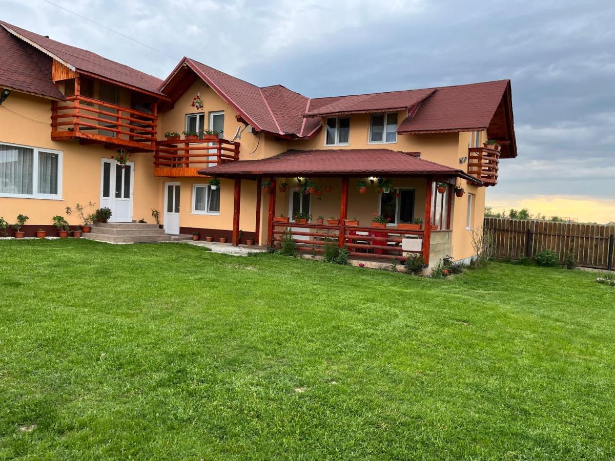 Casa de Vacanta Hasu - Housity