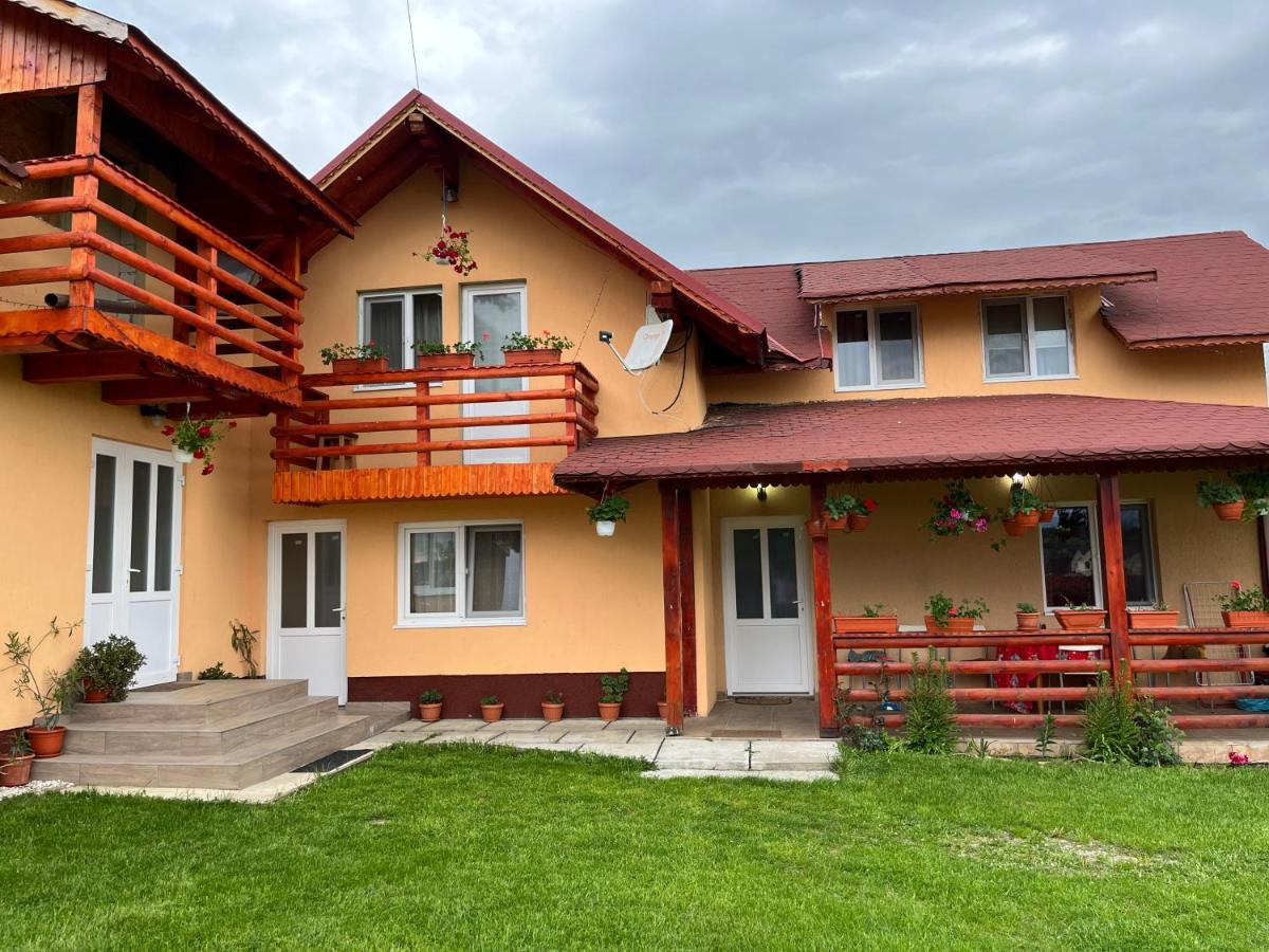 Casa de Vacanta Hasu - Housity