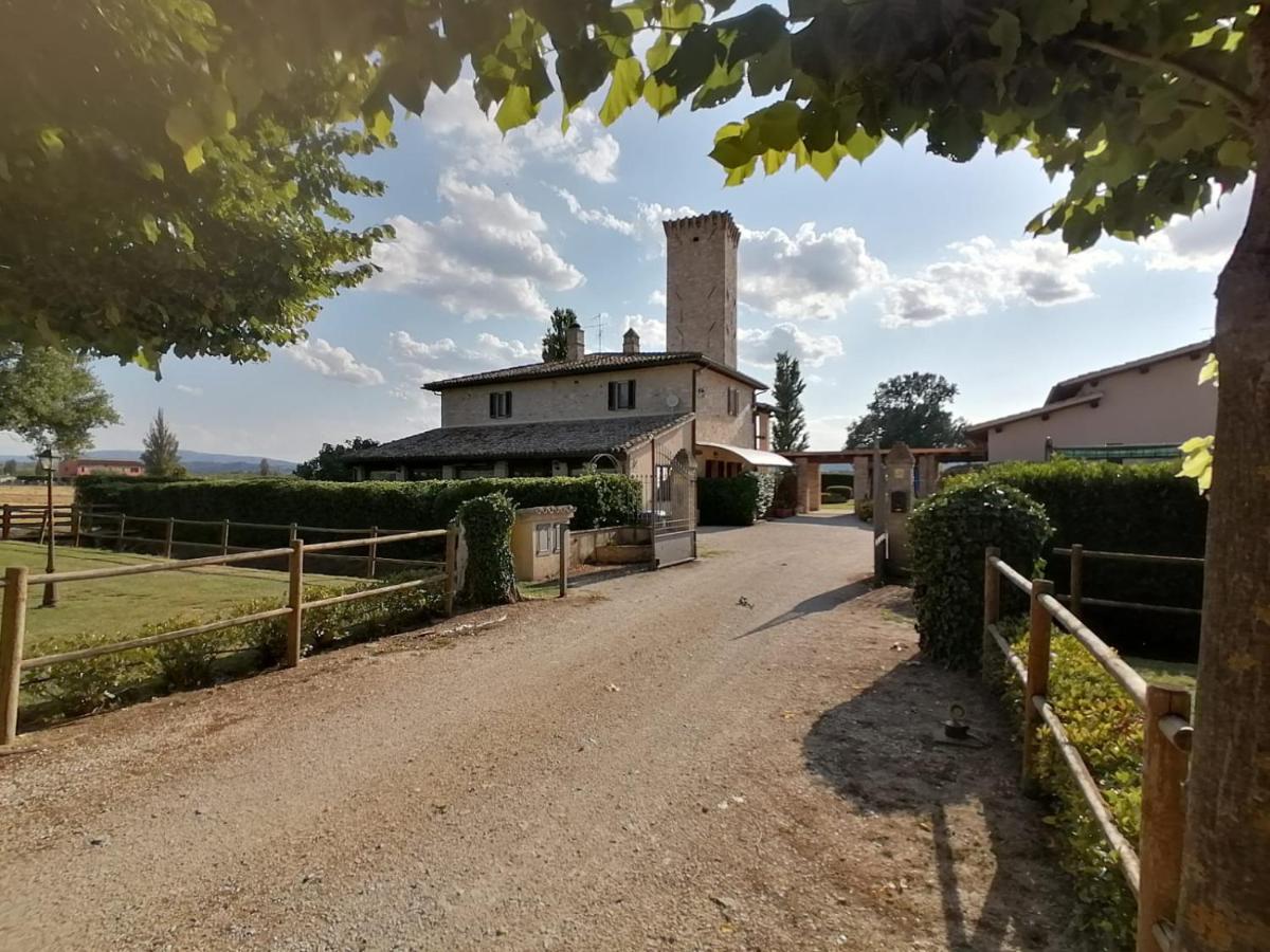 Pietra Rosa - Housity