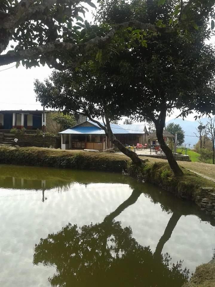 Himalayan villa (Homestay) Restaurant - Housity
