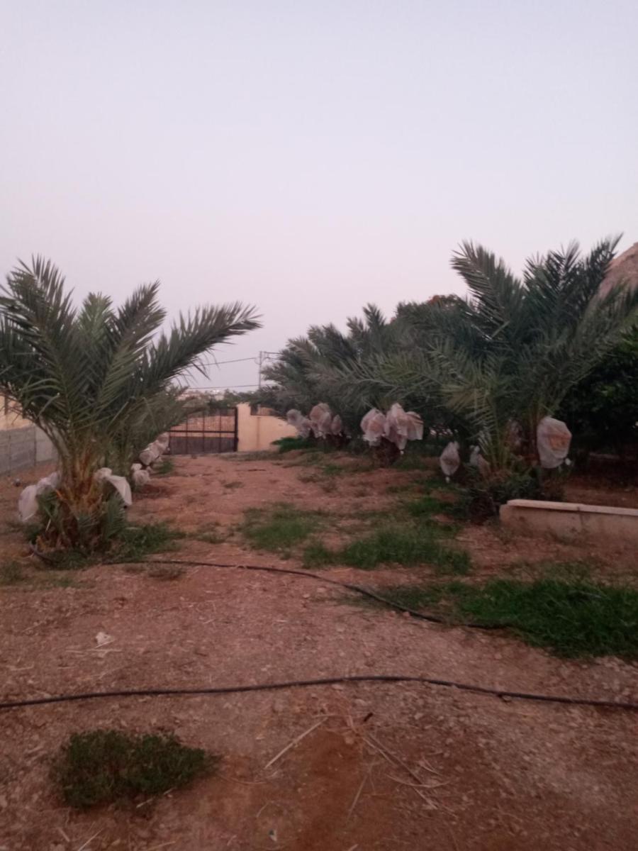Rimal Villas فلل الرمال - Housity