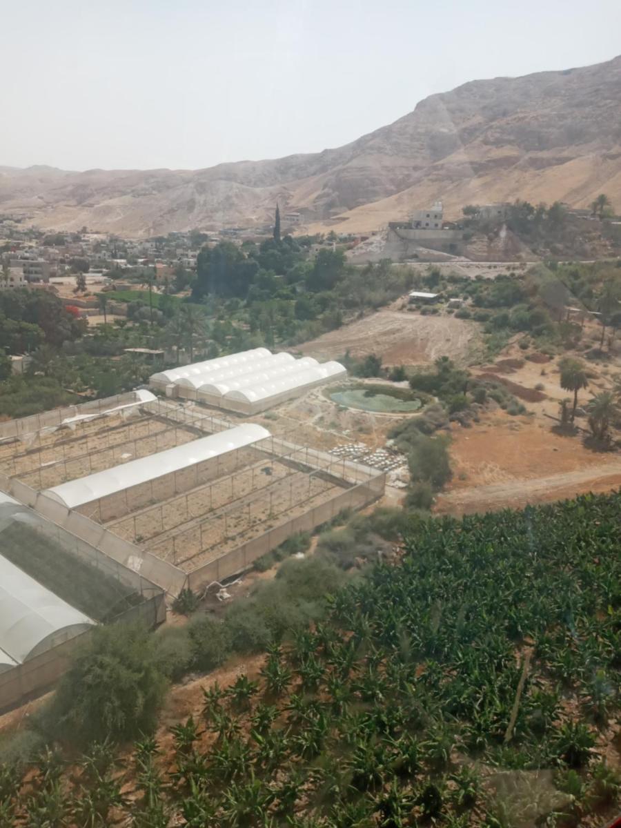 Rimal Villas فلل الرمال - Housity