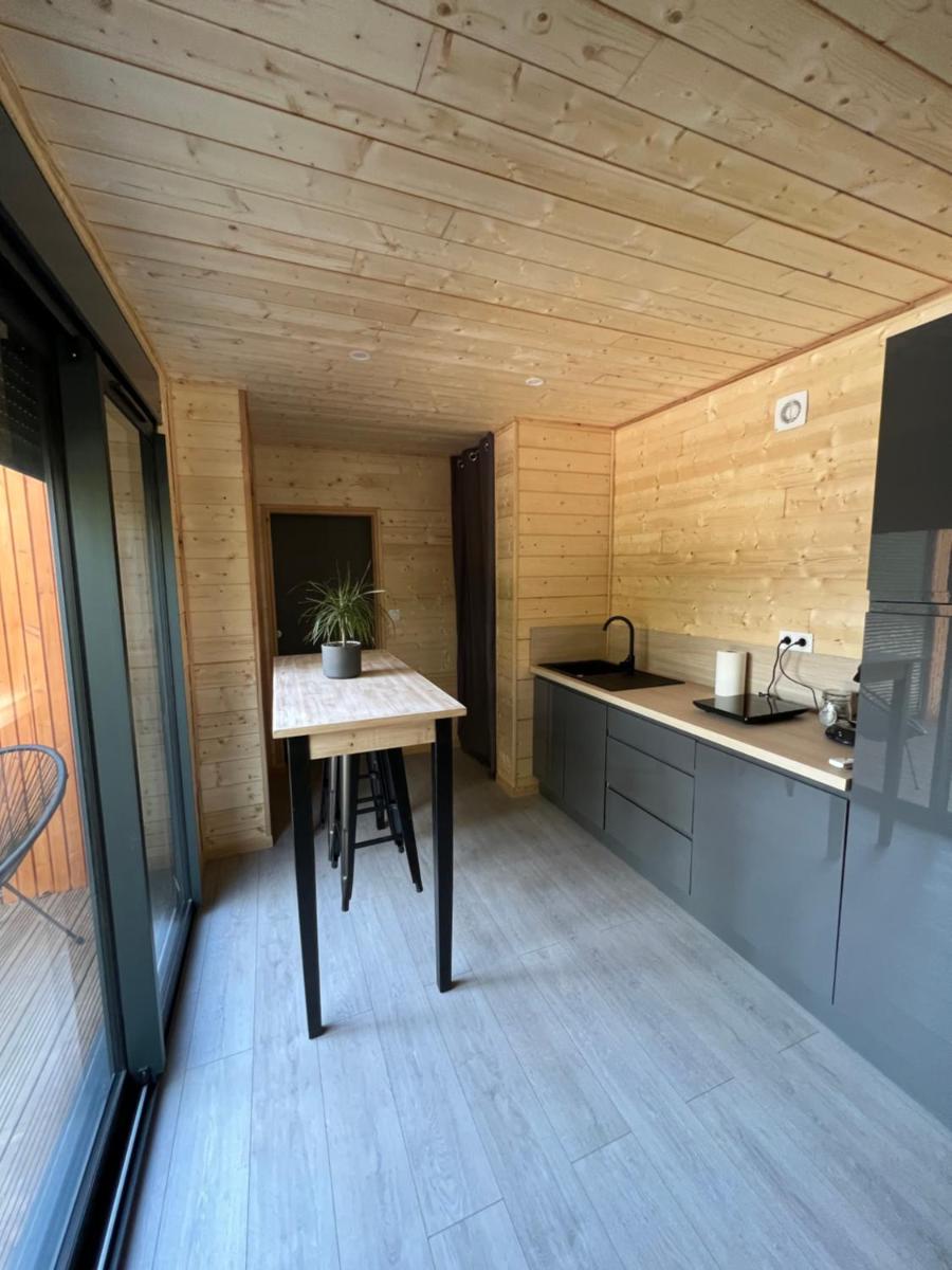 Chalet 1 contemporain dans son écrin de verdure - Housity