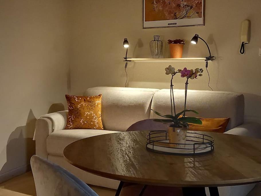 S'gleina Gleck, in the heart of a wine city, Charmant Studio 1 pièce et 1 salle de bain - Housity
